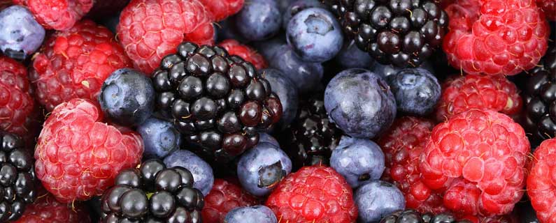 Frozen berry recall highlights potential supply chain risks in offshore production